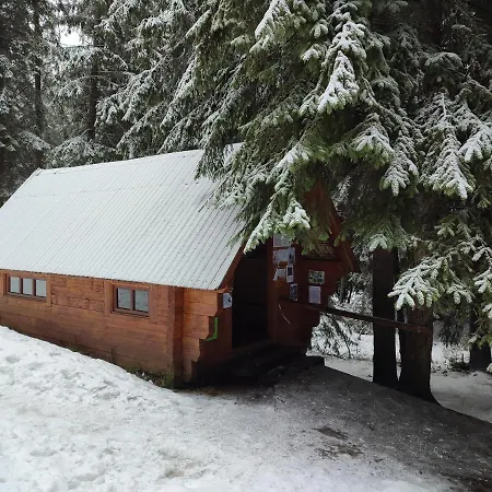 Woodland House Villa Sintimbru-Bai Exterior photo