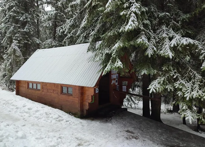 Woodland House