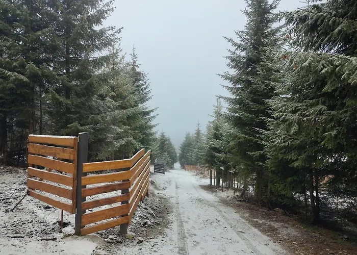Cabana Woodland Sântimbru-bãi